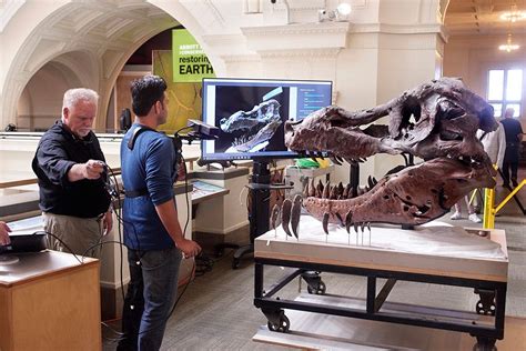 Researchers Use Kinect To Scan T Rex Skull Mit News Massachusetts