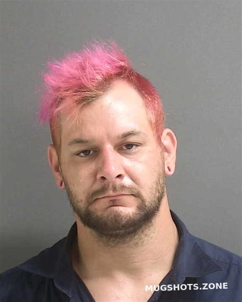 Stacey James D Volusia County Mugshots Zone