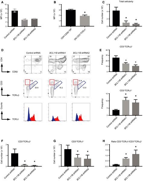 Distinct Notch1 And Bcl11b Requirements Mediate Human γδαβ T Cell