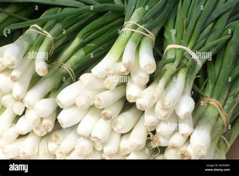 Stacks Of Green Onions Or Scallions Are Ready For Sale At The Farmers