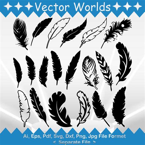 Feathers Svg Vector Design Masterbundles