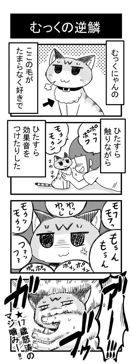 「実家の老猫むっくにゃん 続き 猫の日 」野愛におし＠ポンキャ連載中の漫画