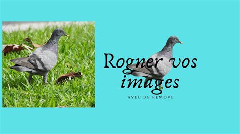 Rogner Une Photo En Ligne En Quelques Second Gratuitement Youtube