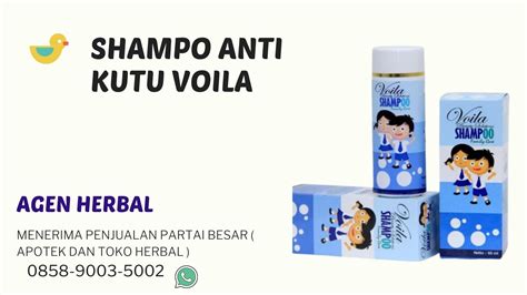 Shampoo Untuk Rambut Kelemumur Dan Gugur Sue Morgan