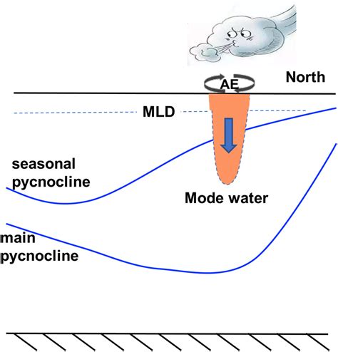 Schematic Of The Anticyclonic Eddy Chimney Effect On The Pycnocline