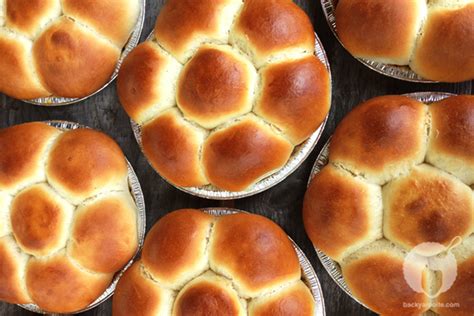 How To Make Hawaiian Sweet Bread Rolls Backyard Bite