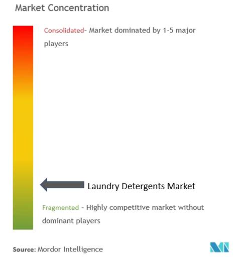 Laundry Detergents Market Share