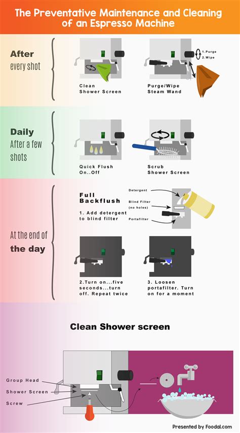 How to Maintain & Clean an Espresso Machine | Foodal