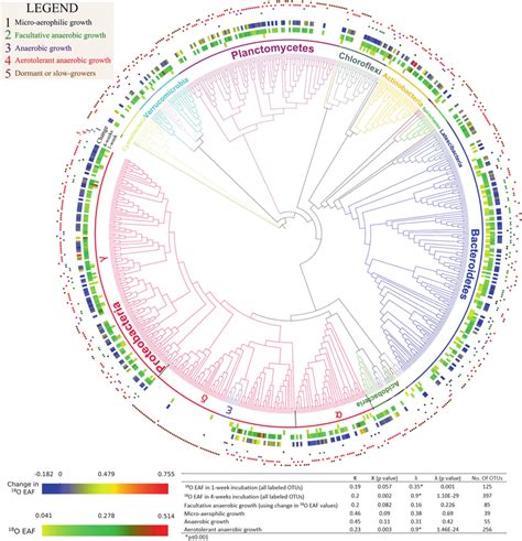 Phylogeny Of Bacterial Taxa Detected And Their Extent Of 18 O Labeling