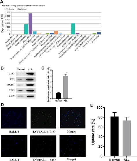 Extracellular Vesicles Carrying Mirna B P Affects The Malignant