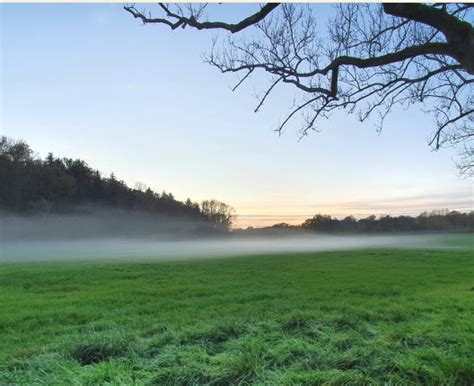 Agrarwetter Im S Den Grau Blau Im Norden Regen Und Wind Proplanta De