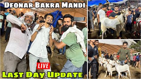 Deonar Bakra Mandi Last Day Update Bakre Saste Ho Gaye YouTube