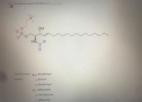 Solved What makes this structure a Sphingolipid ?Why is this | Chegg.com