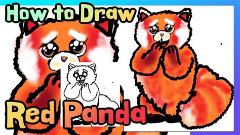 How To Draw Red Panda From Turning Red Learn Drawing Easy YouTube