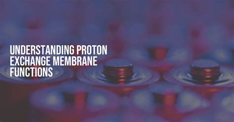 Understanding Proton Exchange Membrane Functions