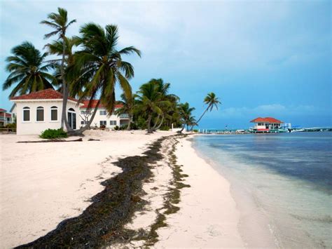 Ambergris Caye, Belize | Beautiful beaches, Belize, Ambergris caye