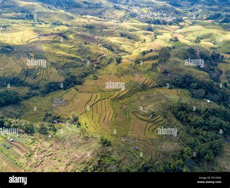 Aerial View Of A Rice Terrace Valley At The Golo Cador Rice Terraces In