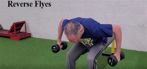 Posterior Deltoid Strengthening Exercises – Dr. Donald A. Ozello, DC ...