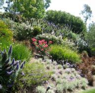 Plantes à l ombre et en terrain humide Pratique fr