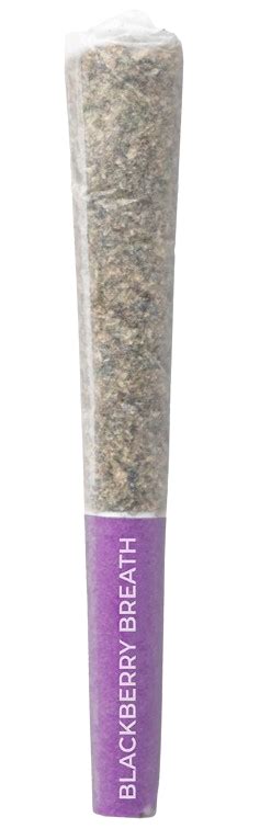 Blackberry Breath Pre Roll By Pistol And Paris Cannasavvy