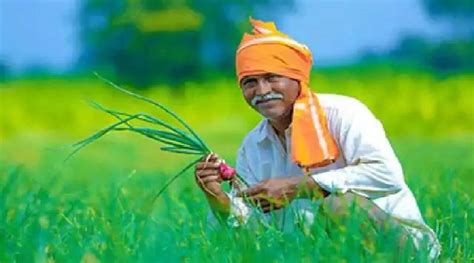 कय PM Kisan Yojana म पत पतन दन क मल सकत ह सलन 6000