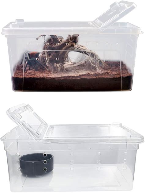 Amazon Pieces Reptile Transport Container Box Plastic Reptile