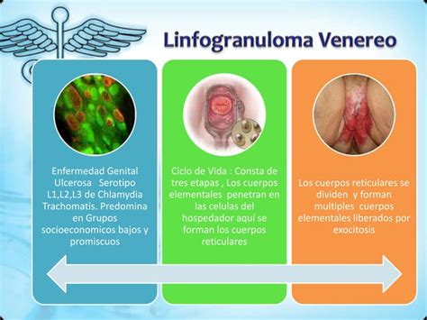 Infecciones Del Tracto Genital Inferior Ppt