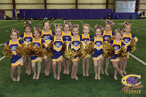 Vikings Cheerleader Programs Minnesota Vikings