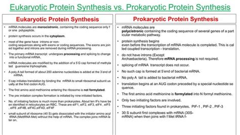 Protein Synthesis In Prokaryotes And Eukaroytes Ppt