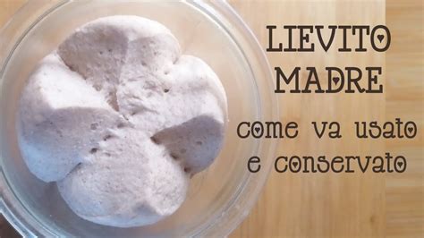 Come Congelare Lievito E Impasti Lievitati Artofit