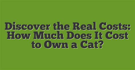 how much is it to own a cat