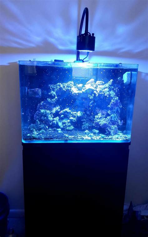 G Jbj Rimless Aio Aquarium And Stand Michigan Reefers