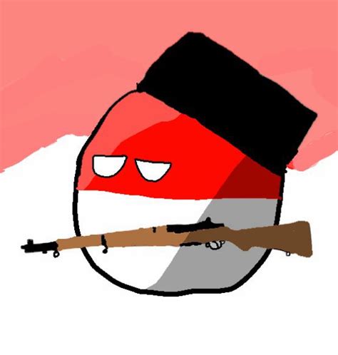 My New Pfp Polandball Amino