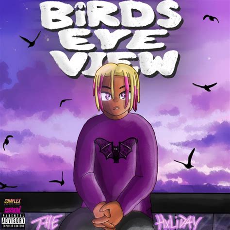 Birds Eye View Song And Lyrics By Complex Productions Thehxliday