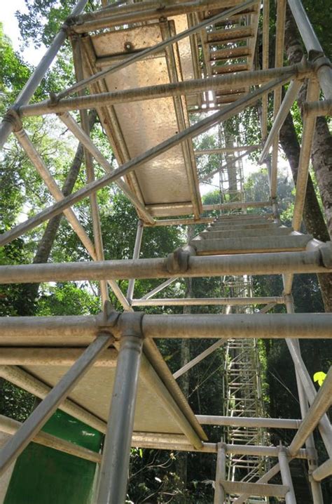 Canopy Walk 5 Brunei Darussalam Brunei Borneo