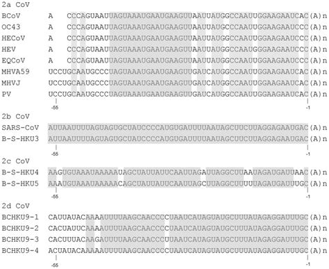 The conserved sequence within individual subgroups is identified by ... 