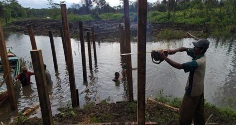 Gambar Tiang Pancang Kayu 53 Koleksi Gambar