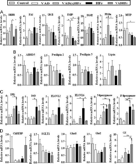 Gene Expression Of Liver Metabolic Pathways Relative Mrna Levels