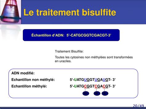 PPT Thèse réalisée au sein de Unité INSERM U578 et du Service de