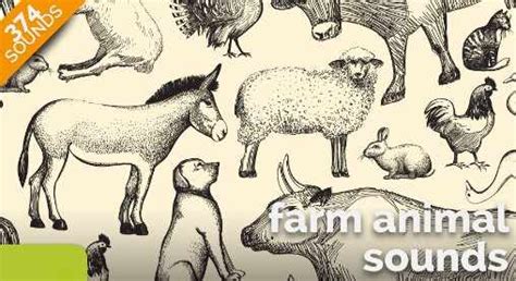 Farm Animal Sounds - Free Download