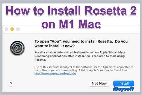 How To Install Rosetta On Mac M M Pro M Max