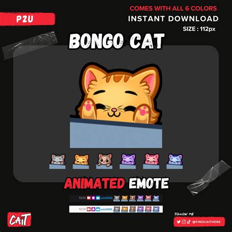 Animated Bongo Cat Emote 6 Colors Twitch Kick Etsy