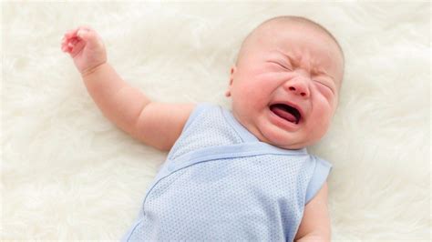 Food Allergies in Babies – Happiest Baby