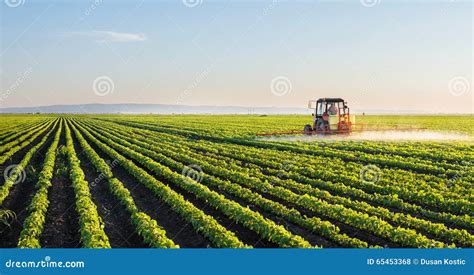 Campo De Rociadura De La Soja Del Tractor Foto De Archivo Imagen De