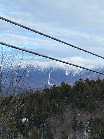 Bretton Woods Canopy Tour - All You Need to Know BEFORE You Go