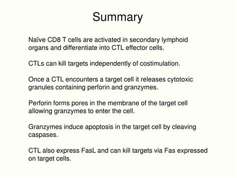 Ppt Cytotoxic T Lymphocytes Ctls And Nk Cells Powerpoint