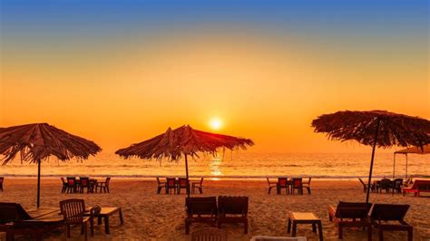 Morjim Beach Tourism (North Goa) (2024) - A Complete Travel Guide