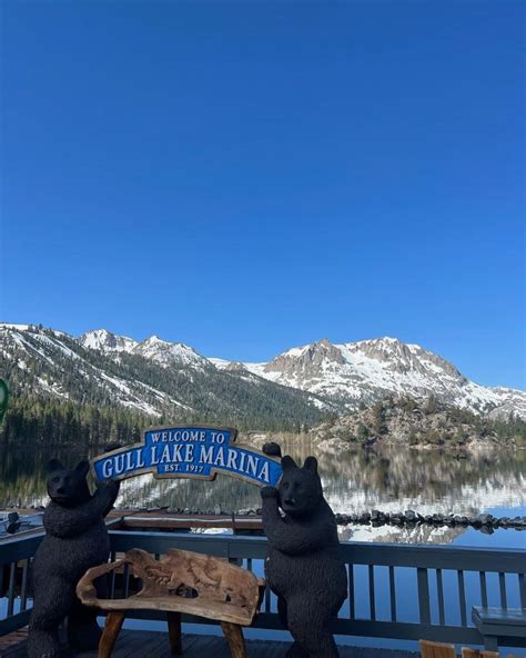 Gull Lake Fish Report June Lake CA Mono County