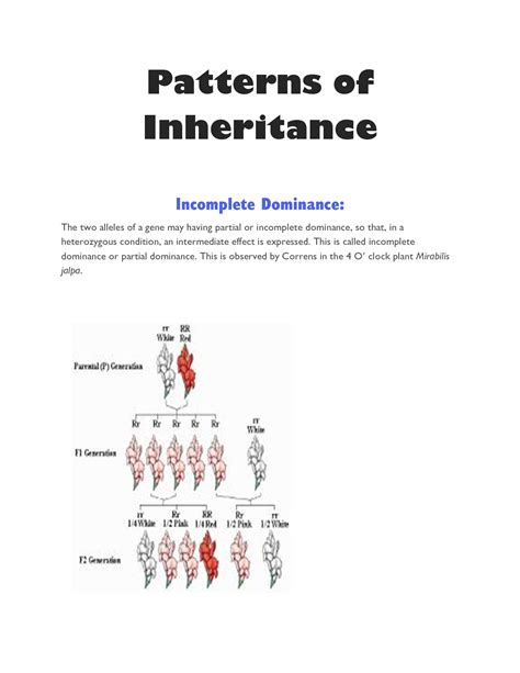 Solution Patterns Of Inheritance Studypool