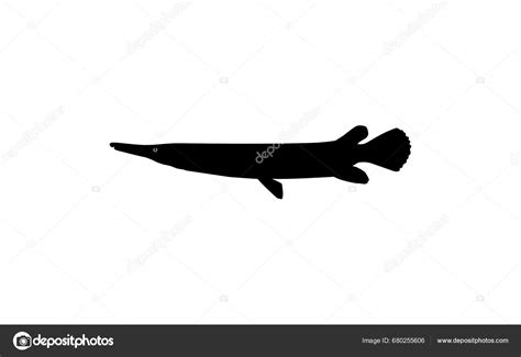 Alligatorfisch Silhouette Kann F R Art Illustration Logo Gramm